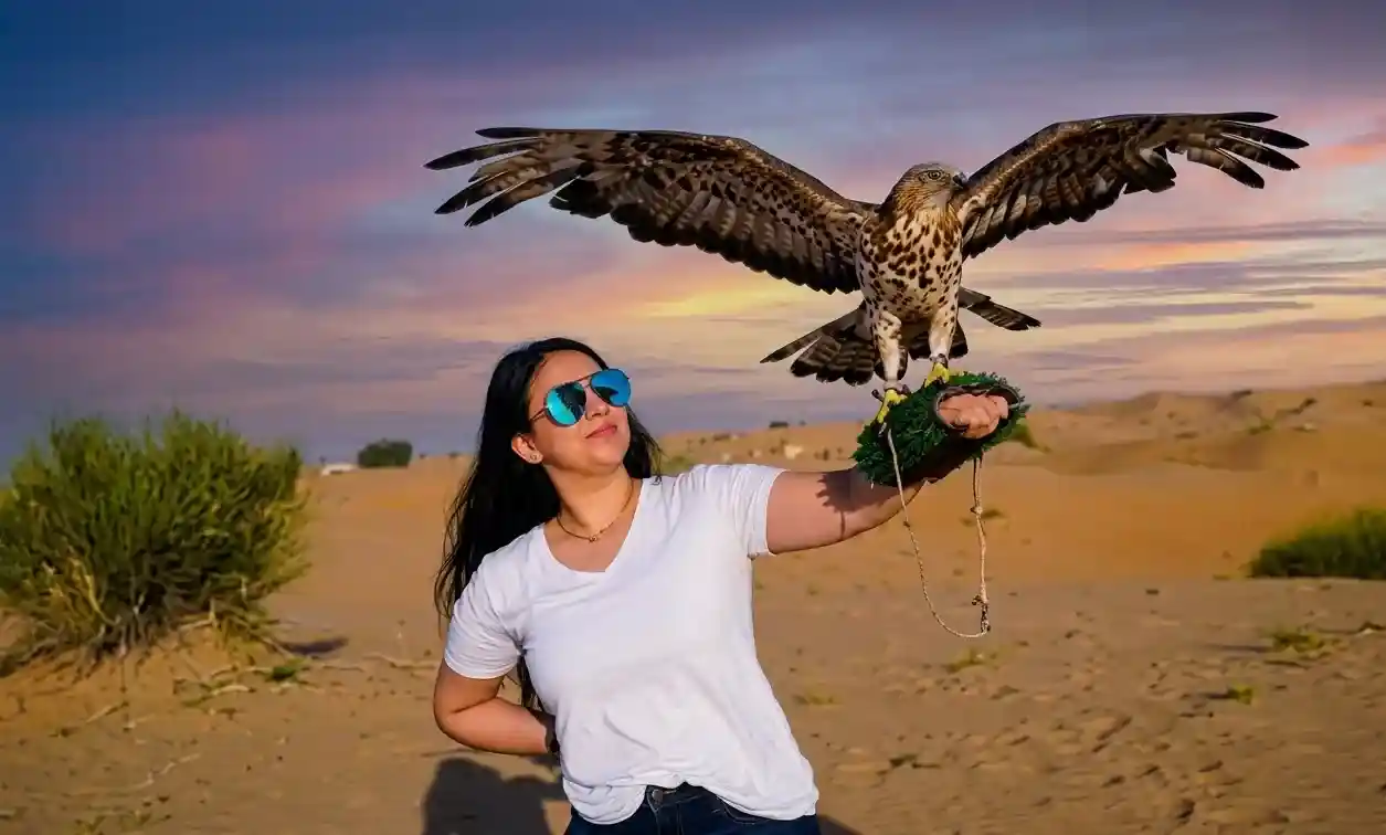 Falconry Demonstration