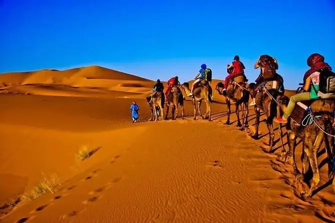 Desert Safari Dubai Tour Planning