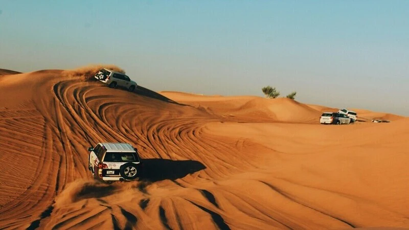 I Compared Dubai Desert Safaris: What Travelers Actually Get for Their Money