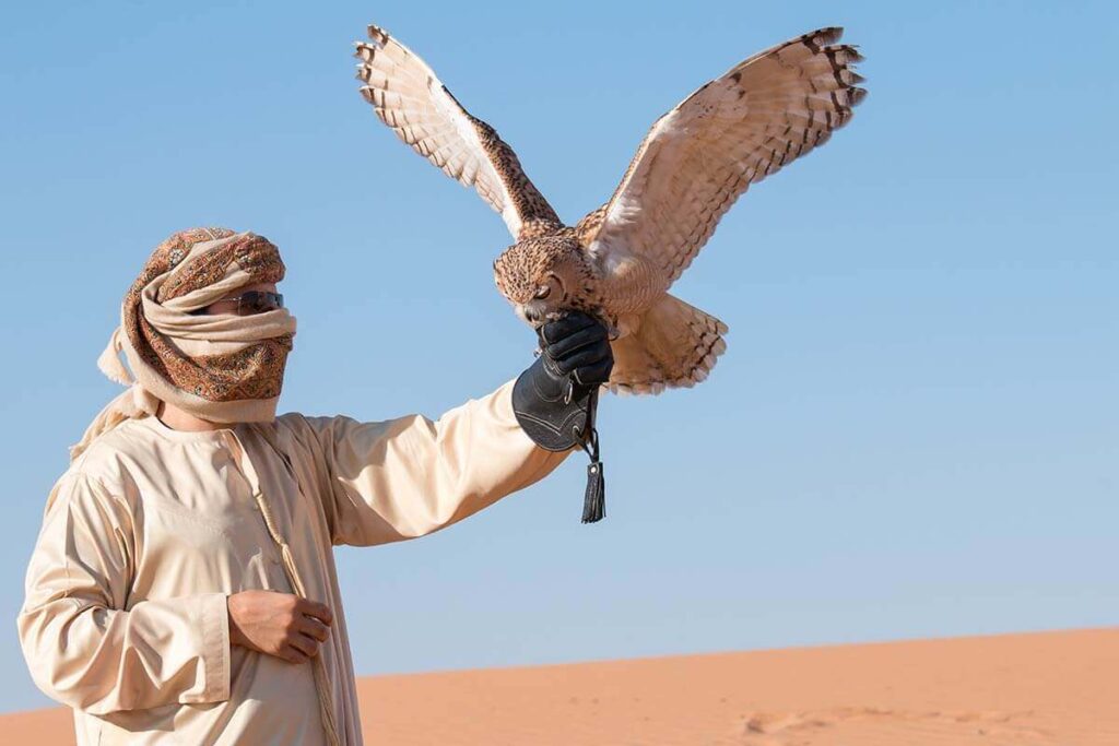 Desert Safari Dubai falcon