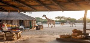 African Village in Safari park Dubai