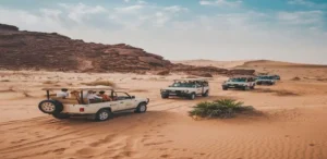 Arabian Desert Safari