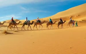 10 Best Desert Safari Packages