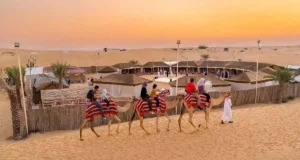 Cheapest Desert Safari Dubai with Free Transfers
