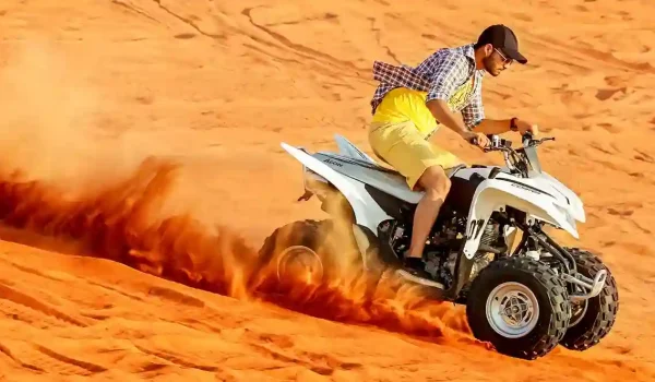 1776513675_gallery_69e3728bec332